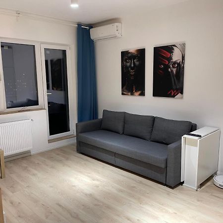 Aquamarine Luxury Apartment Palace ブカレスト エクステリア 写真